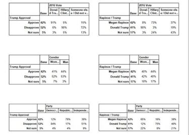 Megan Rapinoe for President after winning the World Cup?