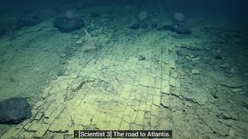 Hallazgo en el océano Pacífico: los científicos, atónitos