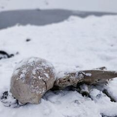 ¿Qué pasa en el 'lago de los esqueletos'?