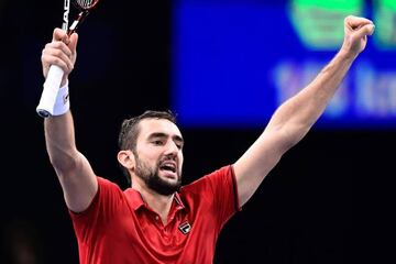 Marin Cilic celebra su triunfo.