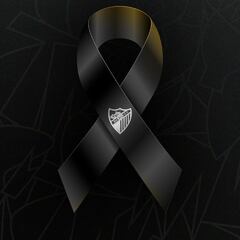 Fallece Fernando, jugador benjamín de la Fundación Málaga CF