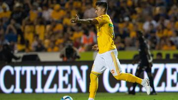 Carlos Salcedo, Tigres