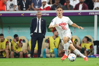 Canterano del FC Lucerna y nacido en Cham, una ciudad y comunas suiza del cantón de Zug. El Club Brujas ha pagado seis millones de euros para fichar al Pivote suizo.