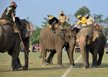 Tiger Tops Vikings (yellow) and champions Tiger Tops Tuskers in action.