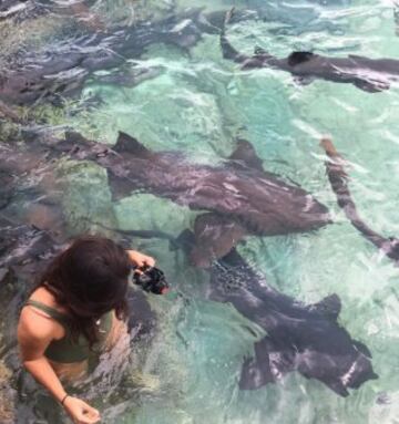 Natasha Fizdale presume de anillo y nada con tiburones