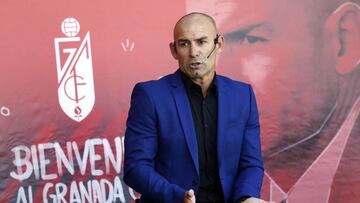 Paco Jémez says he would be "delighted" to take the Spain job