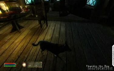 Nuevos detalles e imágenes de The Elder Scrolls IV: Oblivion