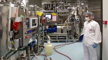 ¿Qué vacuna te va a tocar y cuántas llegarán a España?