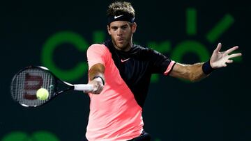 Del Potro beats Raonic for 15th straight win, faces Isner in semis