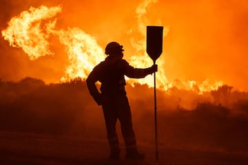 Dos incendios desatados en la provincia de Ávila han provocado la evacuación de los municipios de Riofrío, Sotalbo, Villaviciosa, Palacios y Robledillo, además de quemar 10.000 hectáreas. La situación ha obligado la intervención de la Unidad Militar de Emergencias. 