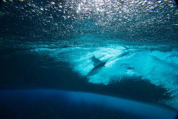 Vista de un surfista desde debajo de la ola. 