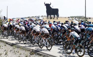 La quinta etapa de La Vuelta unió Tarancón, en Cuenca, con Albacete. Una etapa disputada en Castilla-La Mancha con una temperatura por encima de los 32 grados. El toro bravo de Osborne, en su día valla publicitaria y ahora un símbolo cultural nacional, vigiló de cerca al pelotón mientras completaba los 184 kilómetros de la jornada.