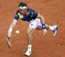 Ferrer no juega en Holanda y es duda para estar en Wimbledon