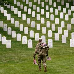 What is the difference between Memorial Day and Veterans Day?