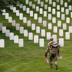 What is the difference between Memorial Day and Veterans Day?