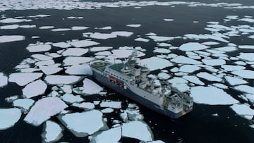 Científicos descubren un ‘oasis’ en el fondo marino de Ártico: “Albergan formas de vida únicas”