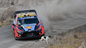 Nadie est¨¢ a salvo del peligro en el Mundial de Rallys