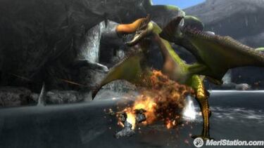 Monster Hunter Tri, Impresiones