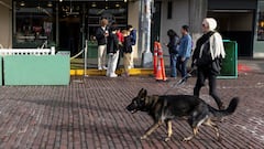 La Ley de Propiedad Horizontal lo confirma: si un vecino lleva al perro sin bozal en las zonas comunes, puedes apelar al artículo 7.2