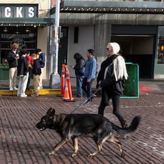 La Ley de Propiedad Horizontal lo confirma: si un vecino lleva al perro sin bozal en las zonas comunes, puedes apelar al artículo 7.2