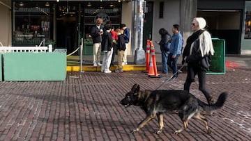 A woman and her dog walk past one of the first Starbucks stores at Pike Place Market in Seattle, Washington, U.S., November 12, 2025. REUTERS/Matt Mills McKnight