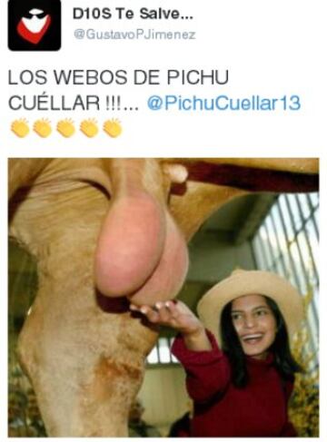 Los mejores memes sobre la rajada de Pichu Cuéllar