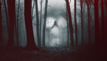 El terror no descansa en Netflix: 28 días paranormales explorará los experimentos de los Warren