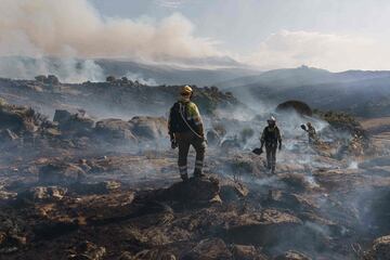 Dos incendios desatados en la provincia de Ávila han provocado la evacuación de los municipios de Riofrío, Sotalbo, Villaviciosa, Palacios y Robledillo, además de quemar 10.000 hectáreas. La situación ha obligado la intervención de la Unidad Militar de Emergencias. 