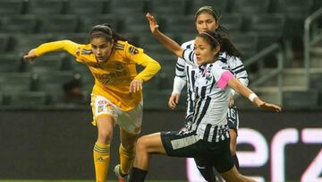 Sigue en vivo las acciones del Tigres vs Monterrey de la jornada 5 del Clausura 2019 de la Liga MX Femenil este lunes 28 de enero a las 20:00 horas.