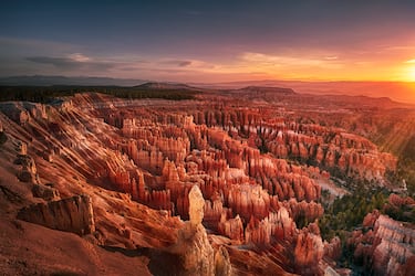Los Hoodoos de Bryce Canyon, situados en el sur de Utah, son quizás la colección más densa y espectacular de agujas de roca en todo el planeta. A diferencia de las Chimeneas de Hada de Capadocia que son volcánicas, estos hoodoos están esculpidos en la Formación Claron, una serie de rocas sedimentarias de caliza, arenisca y lodo depositadas hace unos 50 millones de años en el lecho de un antiguo lago. Su formación es el resultado de un proceso implacable de meteorización por helada.