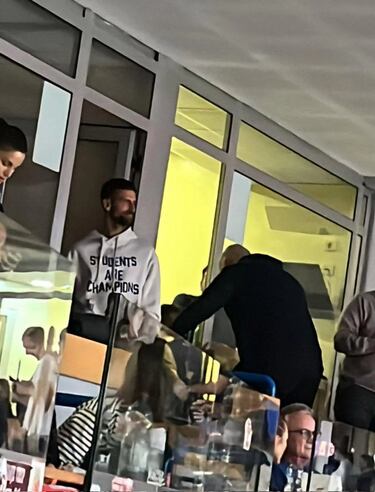 Serbia borra a Djokovic