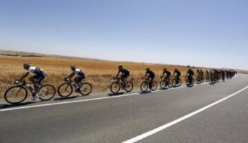 El pelotón durante la cuarta etapa de La Vuelta Ciclista a España 2014 en su 69 edición, que ha comenzado en Mairena del Alcor (Sevilla) y terminado en Córdoba, con una distancia de 164,7 kilómetros.
