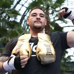 Andy Ruiz quiere pelear contra Deontay Wilder