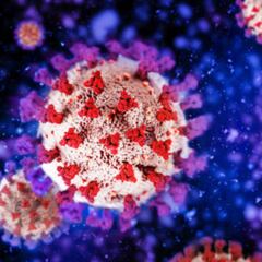 US Energy Department reports origin of Covid-19 virus in China