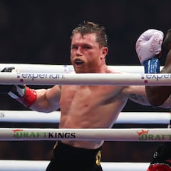 Todavía no regresa al ring y ‘Canelo’ ya tiene una pelea por campeonato