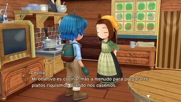 Story of Seasons a wonderful life