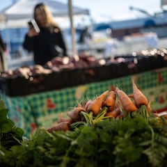 Trump announces new aid that will distribute $12 billion in the U.S.: who will have access