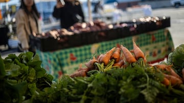 El gobierno estadounidense anunció un nuevo paquete de ayuda que repartirá 12,000 millones de dólares a los agricultores.