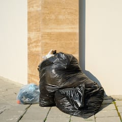 La Ley de Propiedad Horizontal lo confirma: si un vecino siempre deja la bolsa de basura en el pasillo, puedes apelar al artículo 9.1