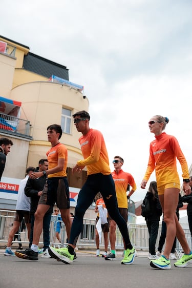 España marcha al Europeo: con todo a por un botín de oros