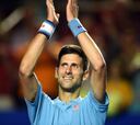 Djokovic chocará con del Potro en segunda ronda de Acapulco