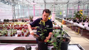 First aid tips if you’ve drowned your plants