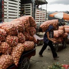 Ni la papa ni la yuca: este es el tubérculo que ayuda a fortalecer la vista y la memoria