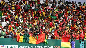 Guinea's supporters wave during the Africa Cup of Nations (CAN) 2024 group C football match between Cameroon and Guinea at Stade Charles Konan Banny in Yamoussoukro on January 15, 2024. (Photo by Issouf SANOGO / AFP)