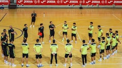 España inicia ante Armenia sus amistosos de cara a la Eurocopa