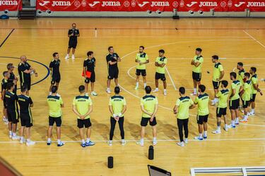 “Se está formando una gran Selección, ojalá sea el principio de algo grande”