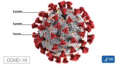 Coronavirus Spike Protein Binder Design | FOLDIT