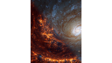 El Telescopio Espacial James Webb muestra nuevas imágenes de 19 galaxias diferentes