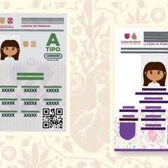 Adiós a la licencia de conducir: revelaron el plazo y la fecha para tramitar este importante permiso
