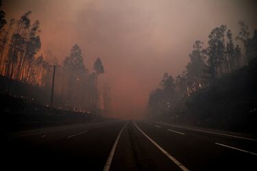 Vista de una carretera vacía mientras el fuego y el humo se elevan de un incendio forestal en la región del Biobío, donde, según medios locales, múltiples incendios forestales provocaron evacuaciones de emergencia, en Concepción, Chile.
